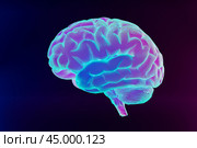Neon brain on dark background. Deep learning , Machine learning and artificial intelligence , AI Technology, thinking concept. 3d illustration. Стоковое фото, фотограф Павел Муравьев / Фотобанк Лори