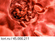Blood cells in vein. Red blood cells circulating in blood vessels. medical health care. Vascular therapy. 3d illustration. Стоковое фото, фотограф Павел Муравьев / Фотобанк Лори