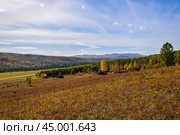 Древние горы Хакасии. Каменный парк. (Ширинские Столбы) (2019 год). Редакционное фото, фотограф Александр Галинский / Фотобанк Лори