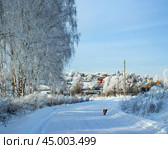 Заснеженный дачный посёлок. Зимний фрагментарный пейзаж. Стоковое фото, фотограф Василий Мальцев / Фотобанк Лори