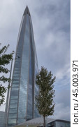 SAINT PETERSBURG, RUSSIA - September 27, 2024: Vertical video from new East Park with green trees to the 87 - story skyscraper Lakhta Center - popular city landmark and tourists attraction. Редакционное видео, видеограф Виктория Катьянова / Фотобанк Лори