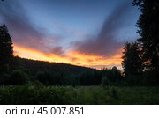 Южный Урал. Силуэты сосен на фоне закатного неба. The Southern Urals. Silhouettes of pine trees against the sunset sky. Стоковое фото, фотограф Евгений Романов / Фотобанк Лори