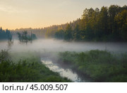 Туманное утро в Тверской области (2024 год). Стоковое фото, фотограф Алексей Назаров / Фотобанк Лори