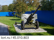 76-мм дивизионная пушка ЗиС-3. Редакционное фото, фотограф Валерий Гаврилюк / Фотобанк Лори