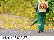 Cleaning falling leaves on a city street in the autumn dry time. Using leaf blower for cleaning of the road in the park. Seasonal occupation concept. Стоковое фото, фотограф YuryKara / Фотобанк Лори
