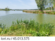 Живописные берега и острова на реке (2019 год). Стоковое фото, фотограф Алёшина Оксана / Фотобанк Лори