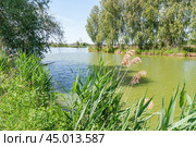 Живописные берега на реке (2019 год). Стоковое фото, фотограф Алёшина Оксана / Фотобанк Лори