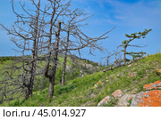 Озеро Байкал. Скалистый берег острова Ольхон. Залив Улхун. Стоковое фото, фотограф Александр Тараканов / Фотобанк Лори