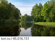 View of the Central Rosovopavilionny pond in the landscape part of the Pavlovsky Park Parade Field on a sunny summer day, Pavlovsk, St. Petersburg, Russia. Стоковое фото, фотограф Ula Ulachka / Фотобанк Лори