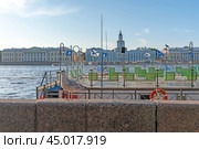 Чайка сидит на парапете Адмиралтейской набережной рядом с причалом и экскурсионным судном. Река Нева. Город Санкт-Петербург (2024 год). Редакционное фото, фотограф Румянцева Наталия / Фотобанк Лори