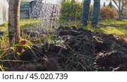 The gardener abundantly waters the fruit tree in the garden. Slow motion. Стоковое видео, видеограф Ярославский Максим / Фотобанк Лори