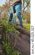 Autumn cleaning in the garden. Стоковое видео, видеограф Ярославский Максим / Фотобанк Лори