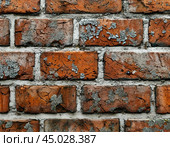 Efflorescence is a whitish trace on the surface of brickwork, represented by a mixture of chemical compounds of salts. Mold on a wet wall, lichens, moss. Стоковое AI-изображение, AI-художник Сергей Елизарьев / Фотобанк Лори