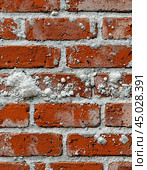 Efflorescence is a whitish trace on the surface of brickwork, represented by a mixture of chemical compounds of salts. Mold on a wet wall, lichens, moss. Стоковое AI-изображение, AI-художник Сергей Елизарьев / Фотобанк Лори