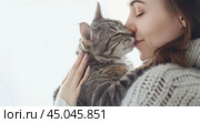 Young beautiful smiling brunette woman holds your tabby cat in her hands isolated on a light gray background. Good friends. Friendship of a pet and its owner girl. Cuddles. Copy space for text banner. Стоковое AI-изображение, AI-художник Марина Демидюк / Фотобанк Лори