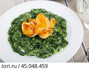 Chicken breast with spinach in bechamel sauce close up. Стоковое фото, фотограф Яков Филимонов / Фотобанк Лори