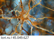 Neuron sending signals with axon and dendrites in the nervous system. Стоковое AI-изображение, AI-художник Иван Рябоконь / Фотобанк Лори