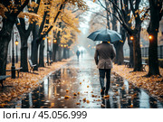 Rainy autumn weather. A man under an umbrella walks along an autumn alley in the park. Стоковое AI-изображение, AI-художник Photojuli / Фотобанк Лори