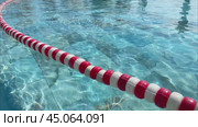 Red and white floating Swimming Pool Lane Divider on the surface of the water of an outdoor pool. Красно-белые плавающие разделители на поверхности воды открытого бассейна. Стоковое видео, видеограф Ольга Петрова-Апостолова / Фотобанк Лори