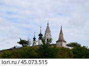 Вид на Александровский монастырь. Суздаль, 2020 год. Стоковое фото, фотограф Photolart / Фотобанк Лори