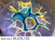 Septarian concretion with crystals of calcite, barite and ammonite sink in center. Natural mineral with star-shaped pattern. Стоковое фото, фотограф Алла Чесноковва / Фотобанк Лори