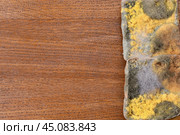Bread with mold on an oak table. Background for text. Стоковое фото, фотограф Дмитрий Кобзев / Фотобанк Лори
