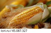 Свежий початок кукурузы с шелухой на ярком желтом фоне для рекламы продуктов питания и сельскохозяйственного дизайна. Стоковое AI-изображение, AI-художник ФотоИнтеллект / Фотобанк Лори