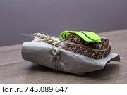 Блокадный хлеб, колосок пшеницы и Оливково зеленая ленточка Ленинградской Победы (2024 год). Стоковое фото, фотограф Сергей Комаров / Фотобанк Лори