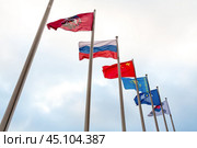 View on the flags of China, Kazakhstan, South Korea, Russia, Commonwealth of Independent States, coat of arms of Moscow on the background of cloudy sky. Стоковое фото, фотограф Михаил Строгалев / Фотобанк Лори