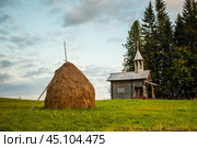 Часовня во имя Александра Невского в деревне Мыза. Россия, Архангельская область, Плесецкий район. Стоковое фото, фотограф Сергей Цепек / Фотобанк Лори