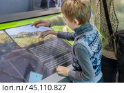 Father and Son Exploring Technology Together on Interactive Screen. Стоковое фото, фотограф Алла Чесноковва / Фотобанк Лори