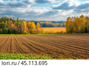 An autumn rural landscape with a view of a ploughed field and a forest belt on the horizon. The field is evenly ploughed, with clear parallel furrows, and the trees in the background are painted in golden yellow and green autumn hues. The sky is slightly cloudy, but bright rays of the sun illuminate the landscape, giving a warm and cozy atmosphere. The contrast between the dark earth and the bright autumn trees creates a harmonious composition, reflecting the beauty of autumn in the countryside. Стоковое AI-изображение, AI-художник Анна Кривицкая / Фотобанк Лори