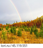 Радуга над осенним лесом. Стоковое фото, фотограф Анна Аникова / Фотобанк Лори