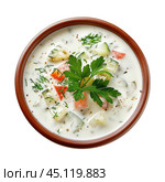 Traditional bulgarian cold soup tarator served in bowl. Стоковое AI-изображение, AI-художник Иван Рябоконь / Фотобанк Лори