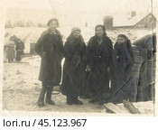 Женщины во время работы на лесозаготовке в 1940-х годах. Стоковое фото, фотограф Retro / Фотобанк Лори
