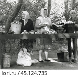 Женщины продают картофель и яблоки со своего огорода на импровизированном рынке 1970-1980-е гг. Стоковое фото, фотограф Retro / Фотобанк Лори