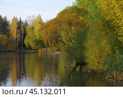 Осенний пейзаж в дендропарке. Екатеринбург, улицы Мира / Первомайская / Ковалевской. Стоковое фото, фотограф Алексей Иванов / Фотобанк Лори