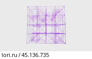 Complex plexus structure transforming on white background. Стоковое видео, видеограф Данил Руденко / Фотобанк Лори