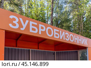 Остановка общественного транспорта «Зубробизонник» недалеко от Парка семейного отдыха «Зубровник». Посёлок Токсово Всеволожского района Ленинградской области (2024 год). Редакционное фото, фотограф Румянцева Наталия / Фотобанк Лори