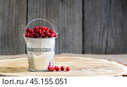 Ripe lingonberries in a decorative bucket on a wooden background. Стоковое фото, фотограф Igor Skripachev / Фотобанк Лори