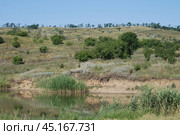 Hillside on the bank of a small river. Стоковое фото, фотограф Andrew_Swarga / Фотобанк Лори