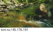 A small waterfall cascades gently over moss-covered stones surrounded by dense forest greenery and calm water. Стоковое видео, видеограф Igor Tichonow / Фотобанк Лори