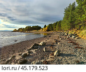 Vibrant shoreline along the White Sea in Kandalaksha, Murmansk region during golden hour. Kola Peninsula. Стоковое фото, фотограф Александра Селина / Фотобанк Лори