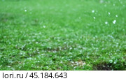 Heavy snowfall at spring. Snow and blurred green grass, trees. Slowly falling snow flakes. Bad snowy weather day. Summer nature background. No People, Super Slow motion. Snowstorm. Change of season. Стоковое видео, видеограф Марина Демидюк / Фотобанк Лори