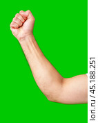 human arm gesturing with raised fingers against a bright green backdrop. Стоковое фото, фотограф Сергей Толмачёв / Фотобанк Лори