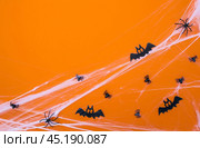 Banner. Modern background with cobwebs, spiders, on an orange background. Halloween with copy space for text. Flat lay, top. Стоковое фото, фотограф Photojuli / Фотобанк Лори