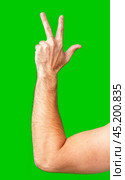 human arm gesturing with raised fingers against a bright green backdrop. Стоковое фото, фотограф Сергей Толмачёв / Фотобанк Лори