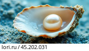 Lustrous pearl nestled in ornate seashell against sandy bottom, tranquil undersea light filtering through water, symbol of purity and wealth found in ocean depth. Стоковое AI-изображение, AI-художник Павел Муравьев / Фотобанк Лори