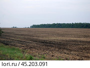A field where the harvest has been reaped. Стоковое фото, фотограф Andrew_Swarga / Фотобанк Лори