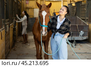 Woman with tethered horse in stable. Стоковое фото, фотограф Яков Филимонов / Фотобанк Лори